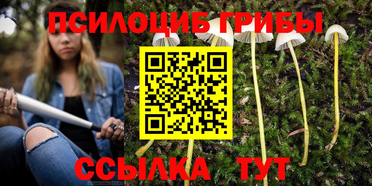 Асбест  Псилоцибиновые грибы мухоморы  Вход с VPN 